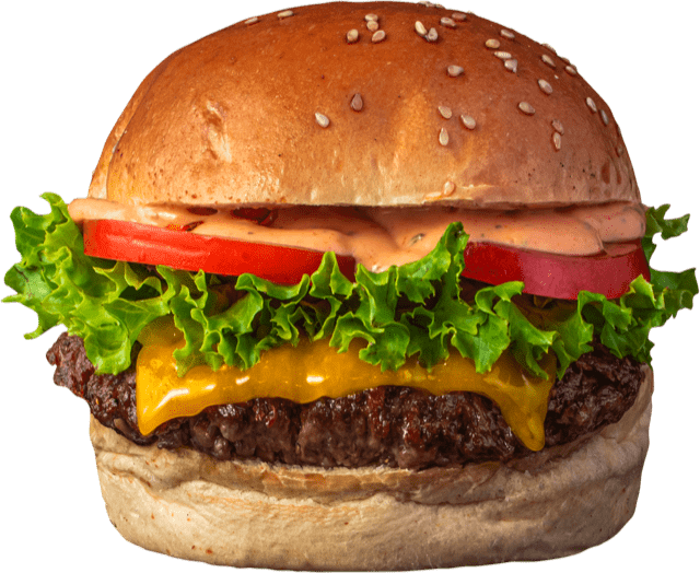 Cheese Burger Image